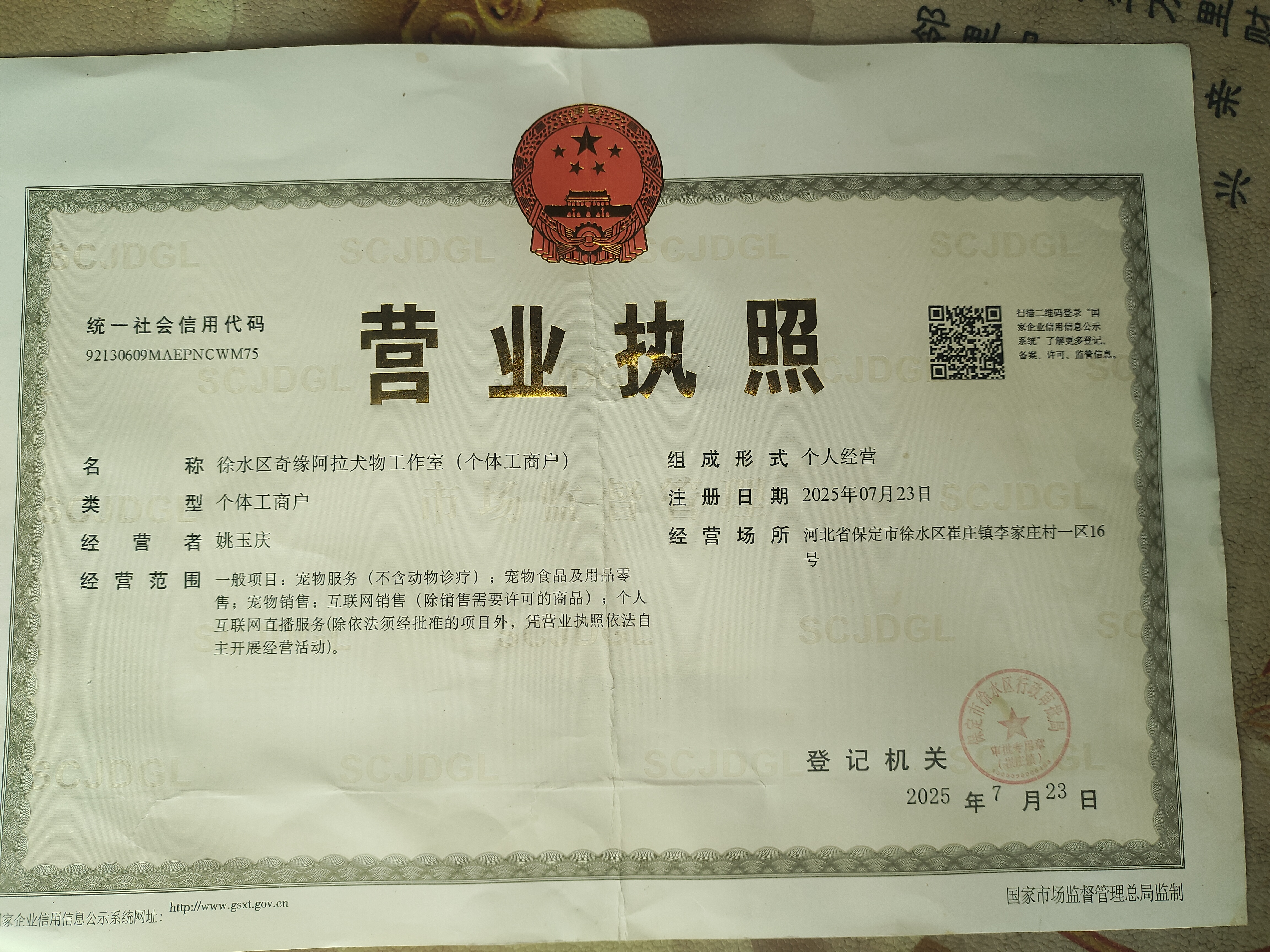 熊版红十字阿拉斯加